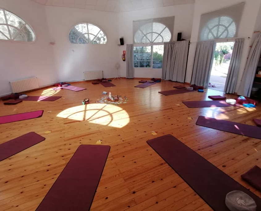 Stolz Yoga